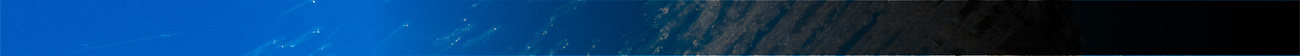 menu_bar